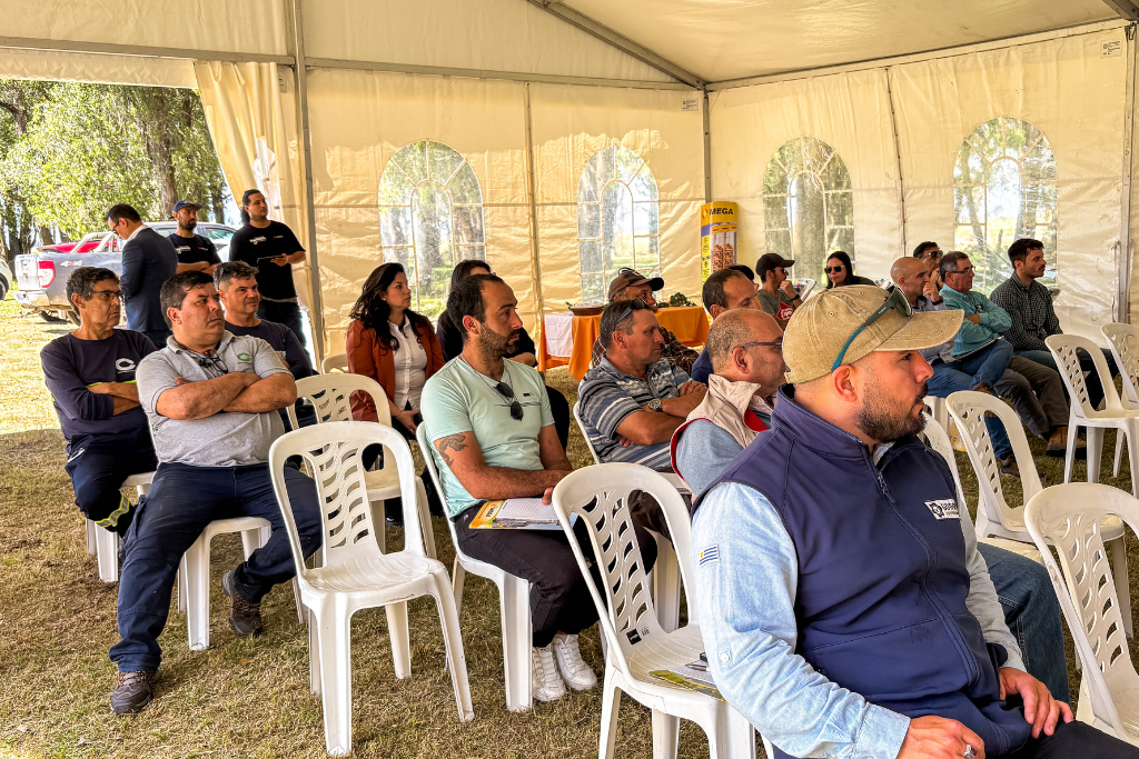 Evento Godoy